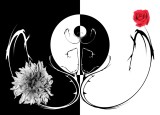 The mirror of life and death