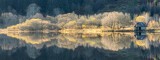 Autumn on Loch Luibnaig