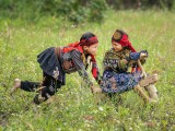 Running toward laughter