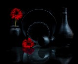 Touch Of Reds