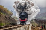 FAREWELL TO THE TRAIN