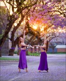 Dancing under the sun