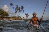 Srilankan Fisherman