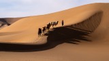 a day in the desert