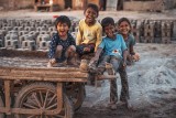 The joy of living