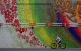 Pedals and petals