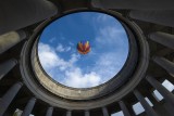 Window to the sky