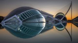 Fish Building