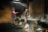 fresh molasses