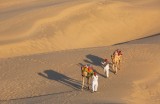 Early Morning Travellers