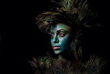 Peacock Beauty