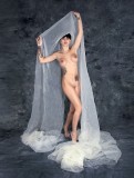 LE VOILE