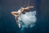 Aquatic Beauty