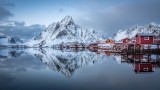 Reflections Of Reine