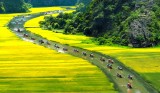 Tren song Ngo Dong 