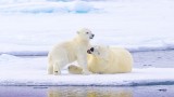 Playing with mum 3412