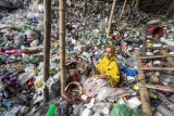 The Recovery of Plastic