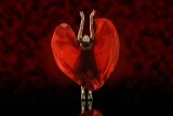 Dancer 16