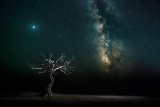 The Silence of the Universe