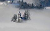 In the Fog