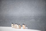 Heavy snow