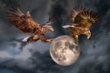 Who owns the moon