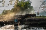 horsemen and buffalos