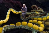 Stitches from the Sea