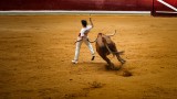 TOPADO