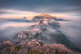 THE FIRST SNOW