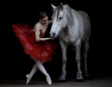 Beauty and the Beast