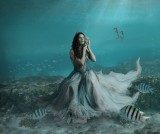 On the Ocean floor