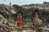 Searching for livelihood