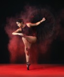 Ballet Dancing 044