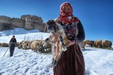 SHEPHERD WOMAN
