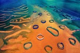 the beauty of the earth
