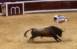 Recortador