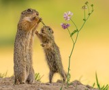 Mom, I am hungry