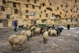 LIFE IN TASKALE