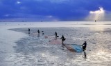 SHINING SEA