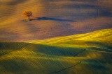 Color contrast