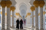 Abu Dhabi Mosque 533