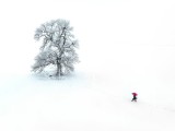 Red Umbrella