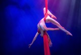 Sensual Flight