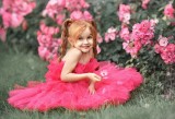 Scarlet flower