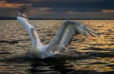 Sunrise Splashdown