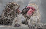 Caring touch
