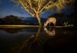 SATIATING THIRST