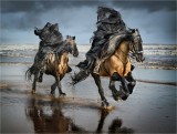 Masked Riders of Middle Earth