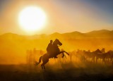 Sunset rider